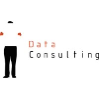 DATA CONSULTING SPAIN Logo
