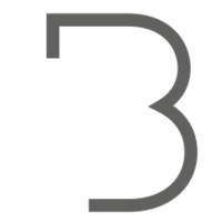 Borderless Software Logo
