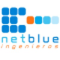 Netblue Engineering Logo
