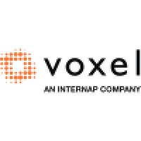 Voxel dot Net Logo