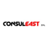 ConsulEast Srl Logo