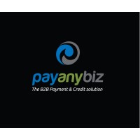PayAnyBiz, LLC Logo