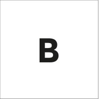 BENJAMINS SRL Logo