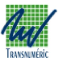 Transnumeric Logo