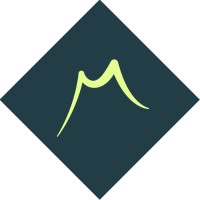 Mathias Priebe, MBA Strategie Coach Logo
