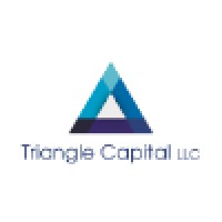 Triangle Capital LLC Logo