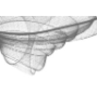 Studio Echelman Logo