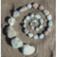 Holos Institute Logo