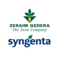 Zeraim Gedera-Syngenta Logo
