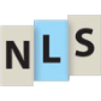 Next Level Strategies Logo