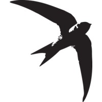 CodeSwyft Logo