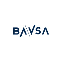 Buenos Aires Valores S.A. Logo