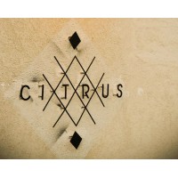 Citrus Events Logo