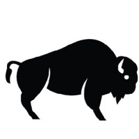 YNPN Greater Bflo Logo