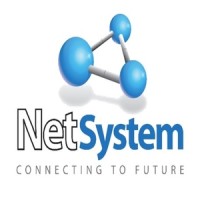 NetSystem S.A. Logo