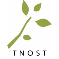 The Nature of Strategic Thinking Logo