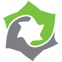 Star Automotive Logo