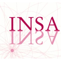 INSA Foundation Logo