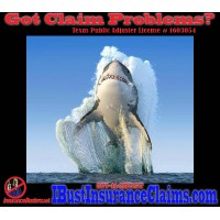InsuranceBusters.net Logo