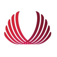 Vision Accountants Logo