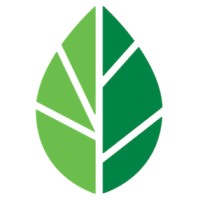 Spring Street Exchange Logo