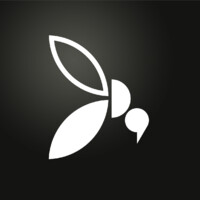 🦟 MOSQUITO Concept en Strategie Logo