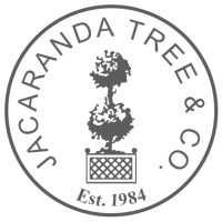 Jacaranda Tree & Co. Logo