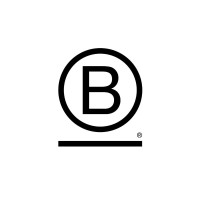 B Corps in the Nordics Logo