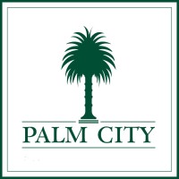 PalmCity Antalya | Premium | Modern Logo