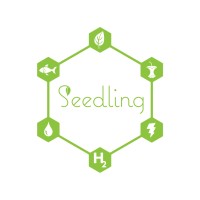 Seedling LLC. Logo