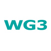 WG3 Intermediacao de Servicos em Software Ltda Logo
