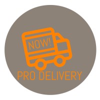 Now Pro Delivery Logo