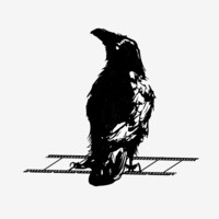 Corvus Pictures Logo