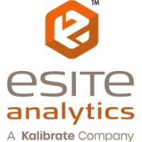 eSite Analytics Logo