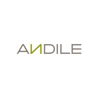 Andile Solutions Logo