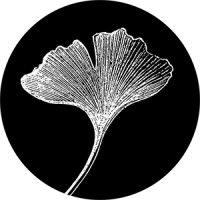 Ginkgo Media - Santé Port Royal Logo