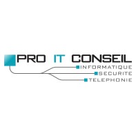 PRO IT CONSEIL Logo