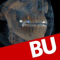Boston University Henry M. Goldman School of Dental Medicine Logo