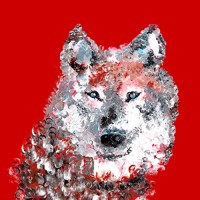 NC State College of Education Logo