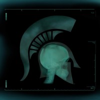 Michigan State University College of Human Medicine Logo