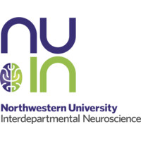 Interdepartmental Neuroscience PhD Program at Northwestern University Logo