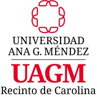 Universidad Del Este Logo