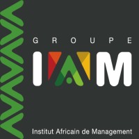 Groupe Institut Africain de Management 2 Logo