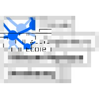 Télécom Physique Strasbourg Logo