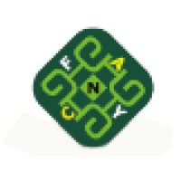 Shenzhen Fancy Technology Co., Ltd. Logo