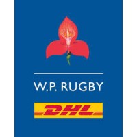 Stormers/WP Rugby Logo