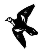 White Wing Inspection, Inc. Logo