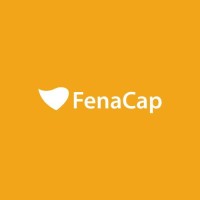 FenaCap - Federação Nacional de Capitalização Logo
