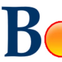 Bogex Logo
