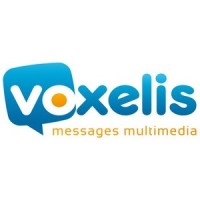 VOXELIS Logo